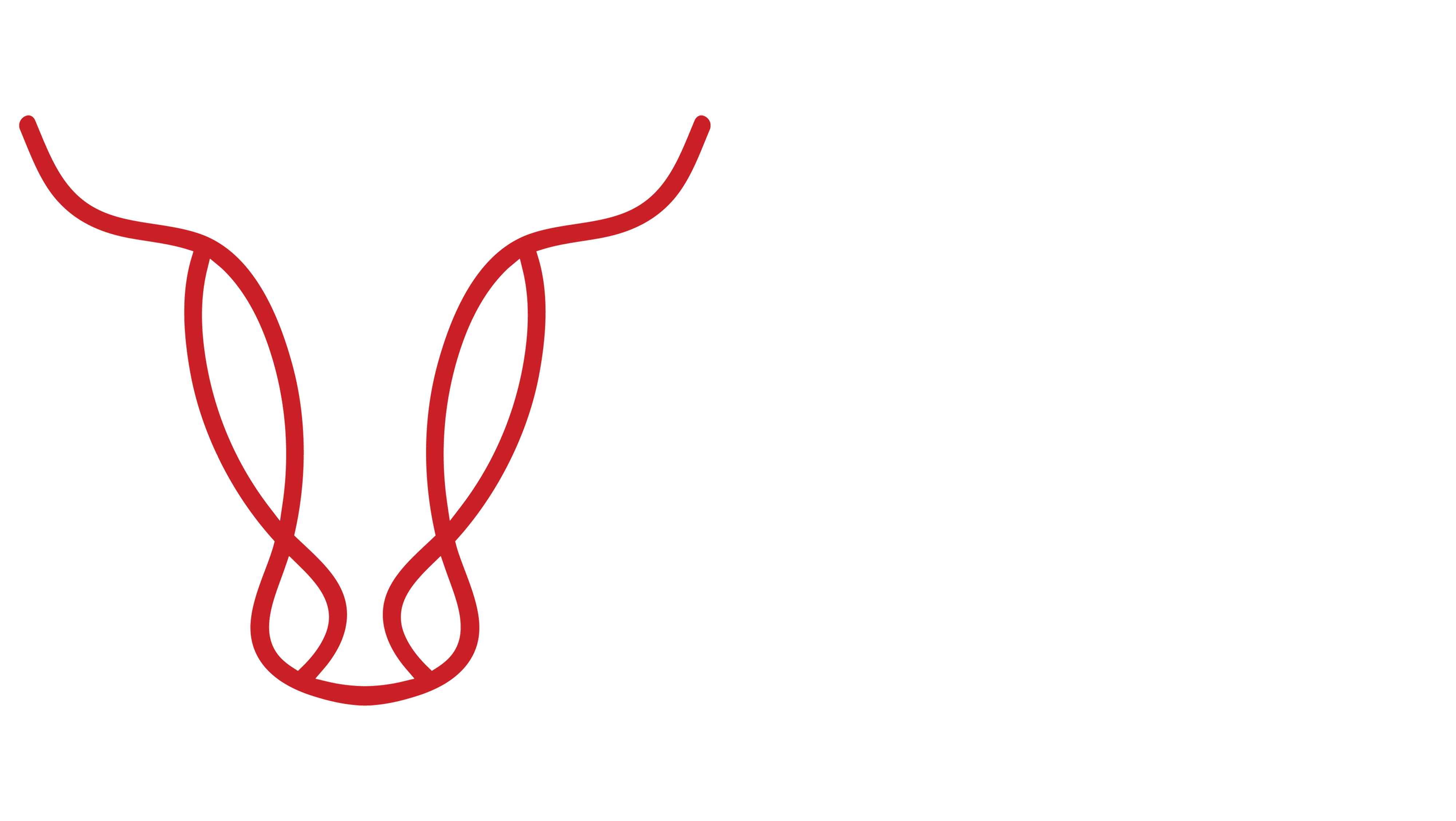 Contact Us New – Backyard Butchers